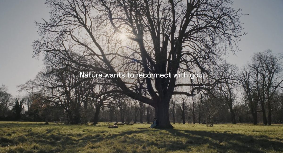 Agency for Nature, the brainchild of non-profit Purpose Disruptors, aims to help young people reconnect with the outdoors in a new campaign starring 'Talking Tree'