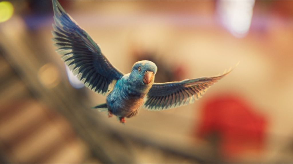 Outdoor clothing, footwear and equipment retailer Go Outdoors has launched a new TV advert starring Billy the Parakeet.
