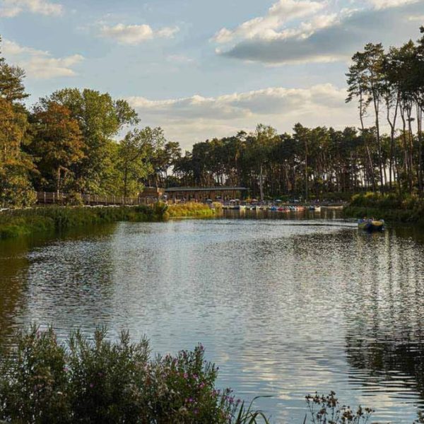 Holiday park firm Centre Parcs has selected Neverland as its lead brand strategy and creative agency, following a three-way pitch led by Ingenuity+.