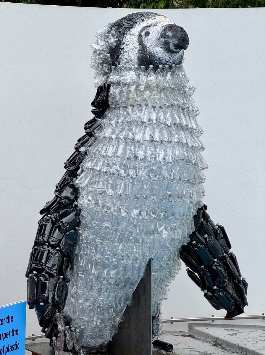 Aluminium bottled water brand Re:Water has unveiled a giant Humbolt penguin at London Zoo to highlight the plastic pollution crisis.