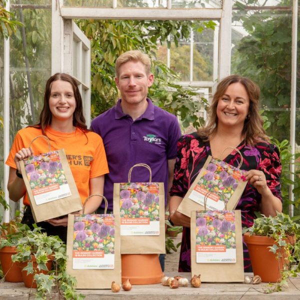 Dobbies has launched a new charity bulb collection that aims to raise £10,000 for its national charity partner, Alzheimer’s Research UK.
