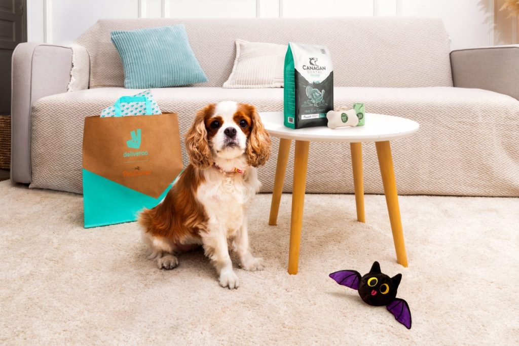 Food and grocery delivery service Deliveroo has partnered with pet care specialist Pets Corner to make its goods available via the Deliveroo app.